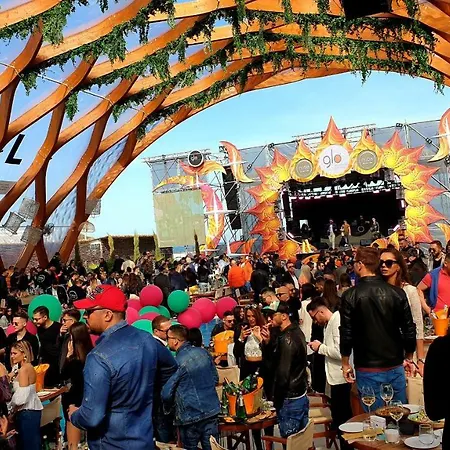 Lotus Loft Mamaia-nord